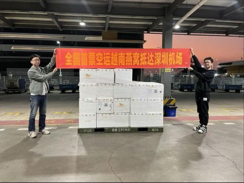 继越南榴莲在中国热卖后,首批越南燕窝又来了,今年春节国人有口福了