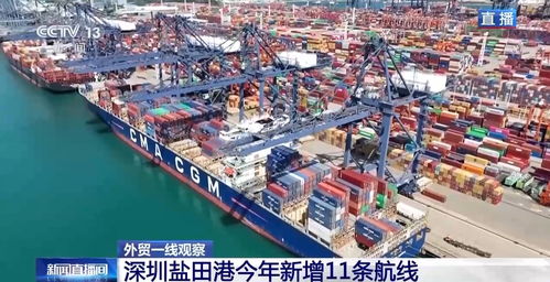 平均每天10班船驶向欧美 从深圳盐田港看中国外贸 加速度