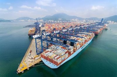 万商云集的进博会 深圳贸易的“软”环境搭建与促进交流